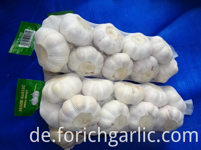 Normal White Garlic